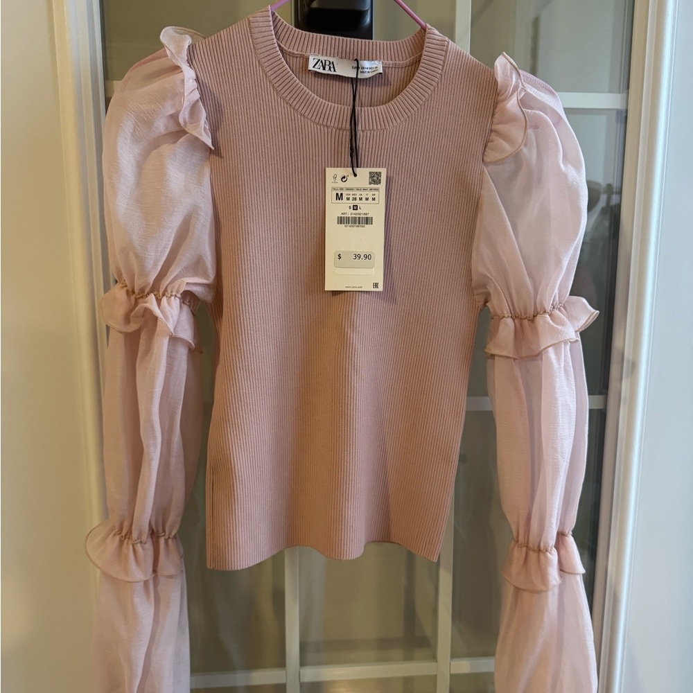Zara Blush Ribbed Top with Sheer Ruffle Sleeve